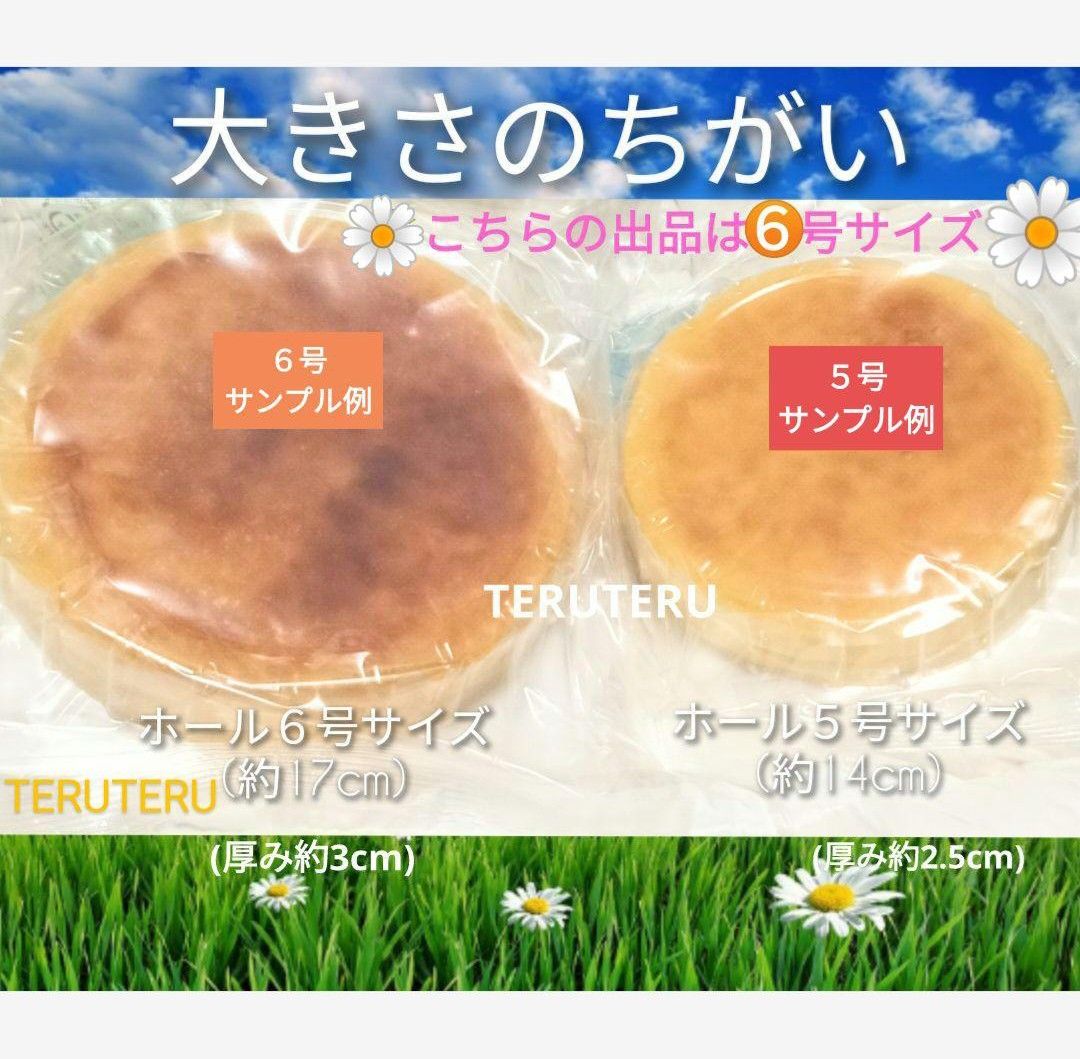 NEW☆工場直売☆りんごと紅茶のチーズケーキ ６号 国産◯そふとけーき ３枚 スイーツ☆愛いっぱい 大阪前田製菓 アウトレット品