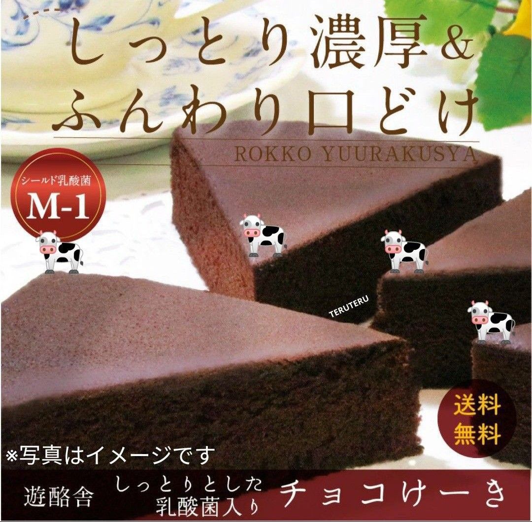 ☆アップル チーズケーキ☆ & ●チョコけーき ５号 工場直売 アウトレット品 スイーツ☆愛いっぱい 大阪前田製菓☆