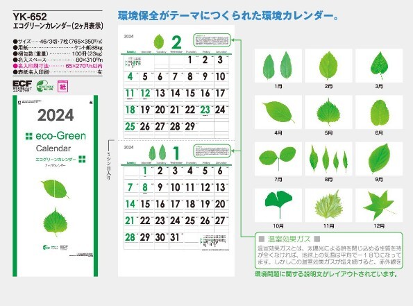 2024年 壁掛けカレンダー エコグリーンカレンダー(2ヶ月) ☆ＹＫ-652　新品_画像2