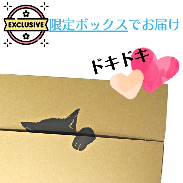 紀州小梅　はちみつ梅　500g×２袋　訳あり送料無料規格外　ポスト投函　産地直送　ちょうどいい　梅干し　はちみつ漬け　和歌山_画像5