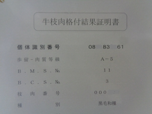 松永牛A５牝　超特すじ＆カッパ　３，５ｋｇ_画像8