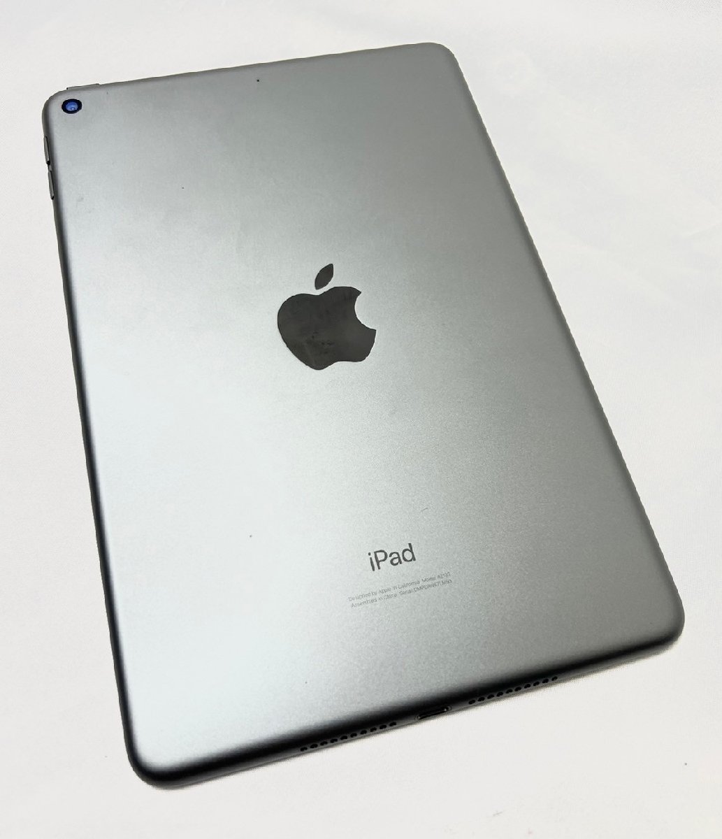 Apple iPad mini 第5世代 64G Wi-Fi　スペースグレー　A2133_画像4