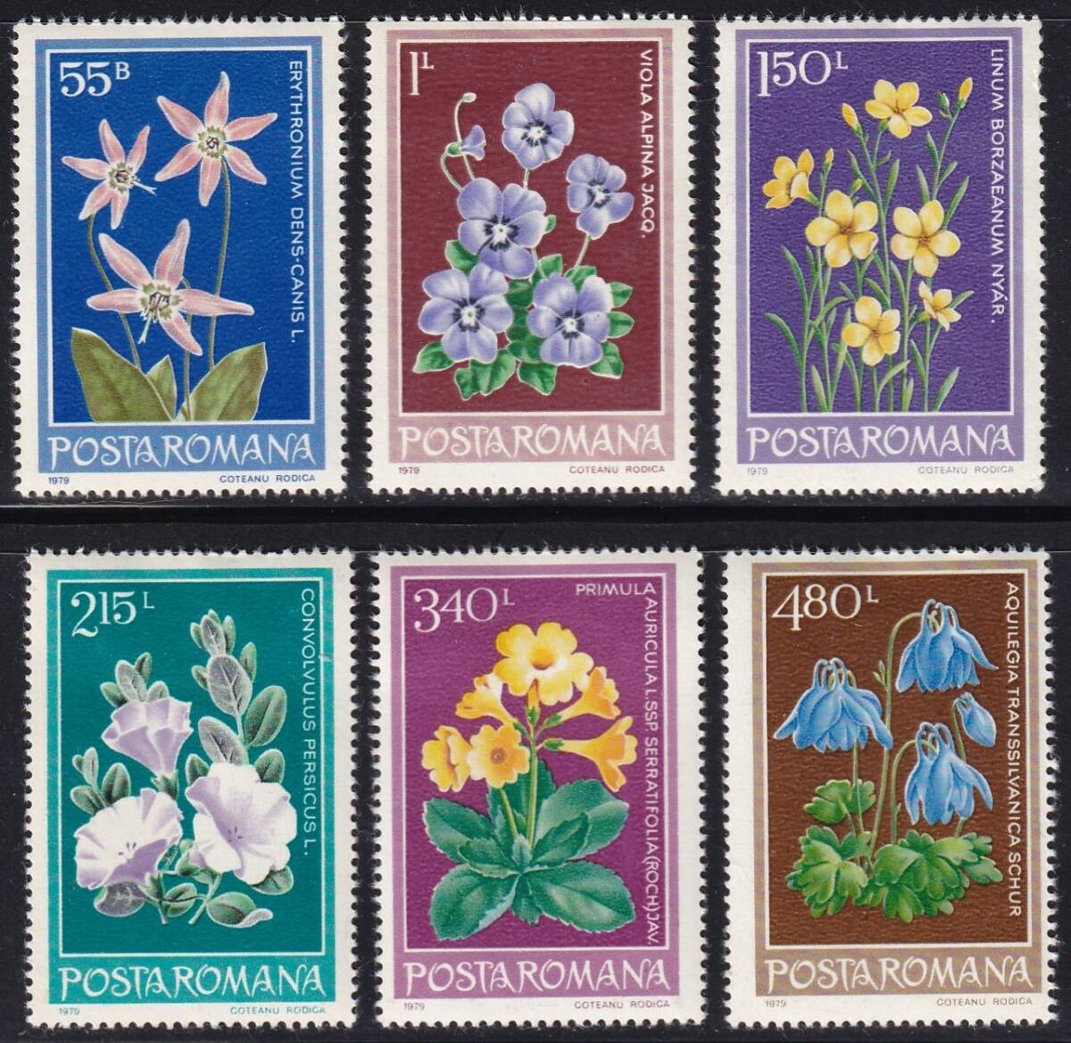 ルーマニア・保護植物＜１９７９年＞（未）６種完_画像1