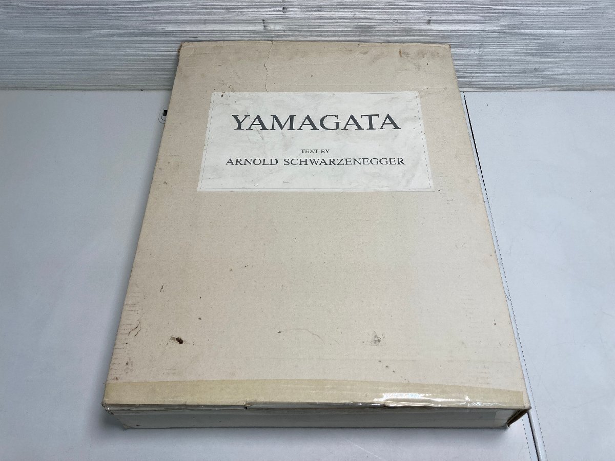 【★02-3602】■中古■HIRO　YAMAGATA　ヒロ・ヤマガタ　画集　アーノルド・シュワルツネッガー　洋書（9385）_画像1