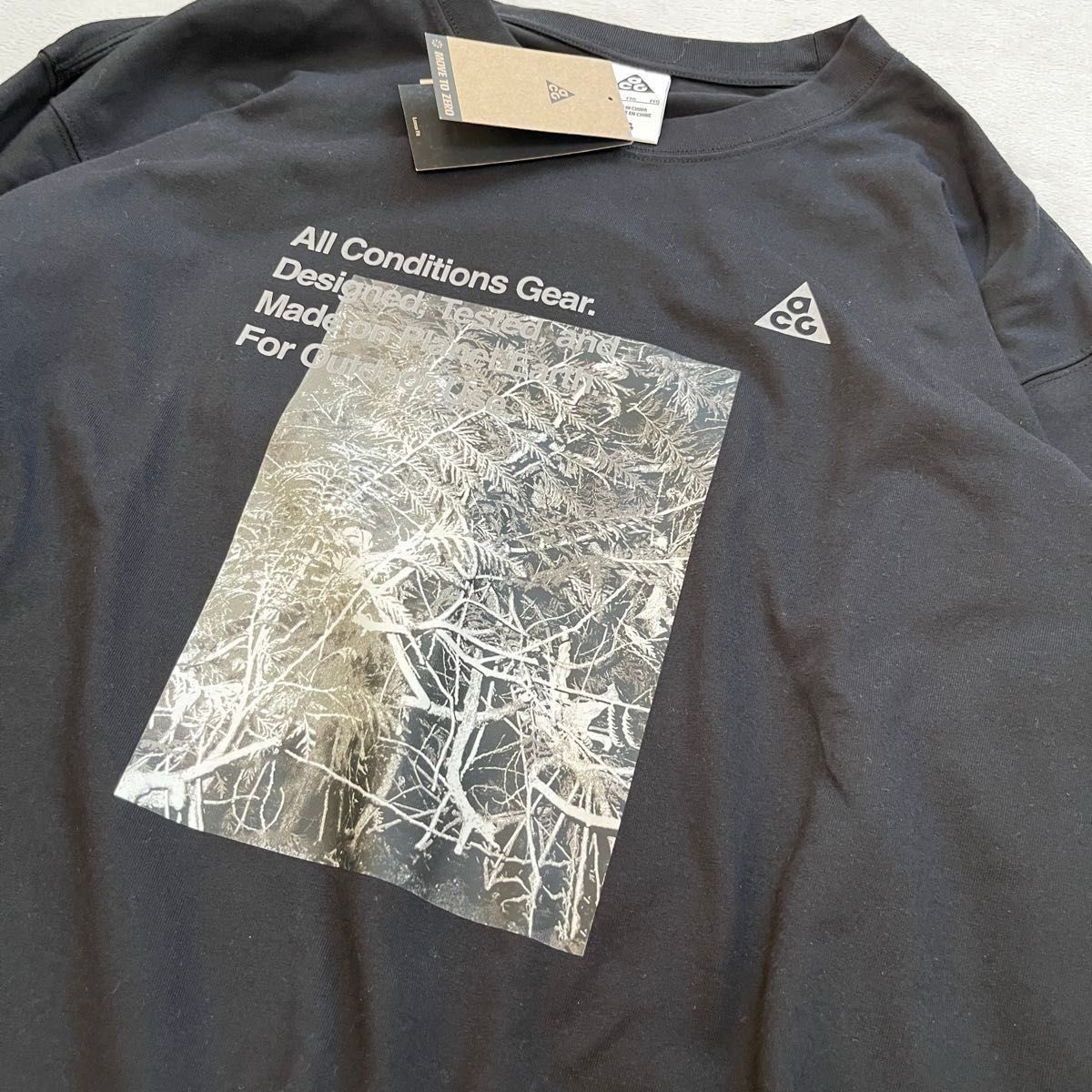 NIKE ACG FOREST L/S ナイキacg ロングスリーブ 長袖 ロンT NIKE ACG FOREST L/S ナイキacg ロングスリーブ 長袖 ロンT
