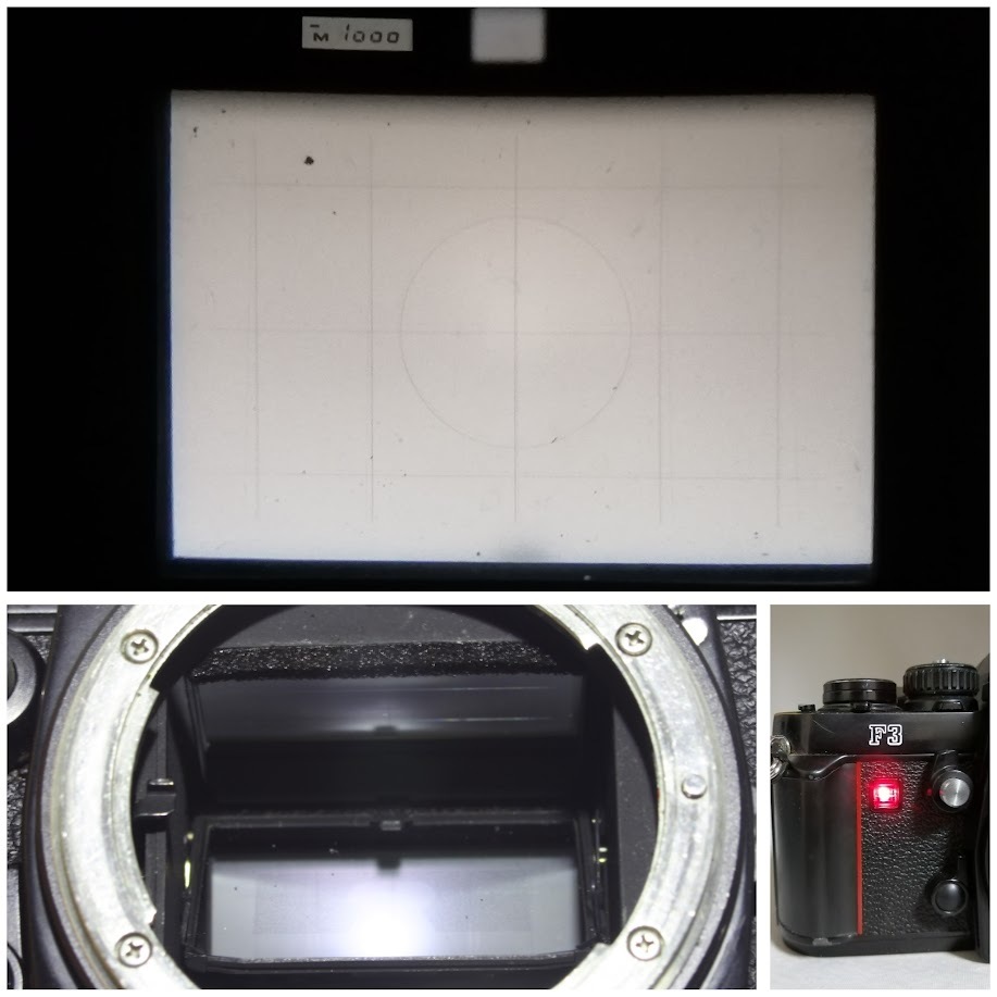 B923◆ Nikon ニコン F3 アイレベル / MD-4 モータードライブ_画像8