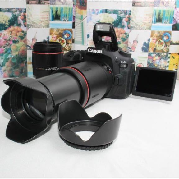 予備バッテリー付Canon EOS 90D 超望遠ダブルズーム