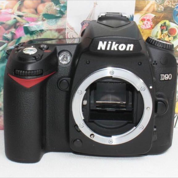 新品バッグ付きNikon D90 超望遠 300mm レンズセット_画像3