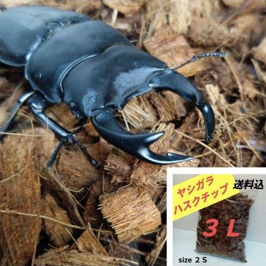 【天然】ヤシガラ ハスクチップ ３L カブトムシ クワガタ  飼育マット 観葉植物