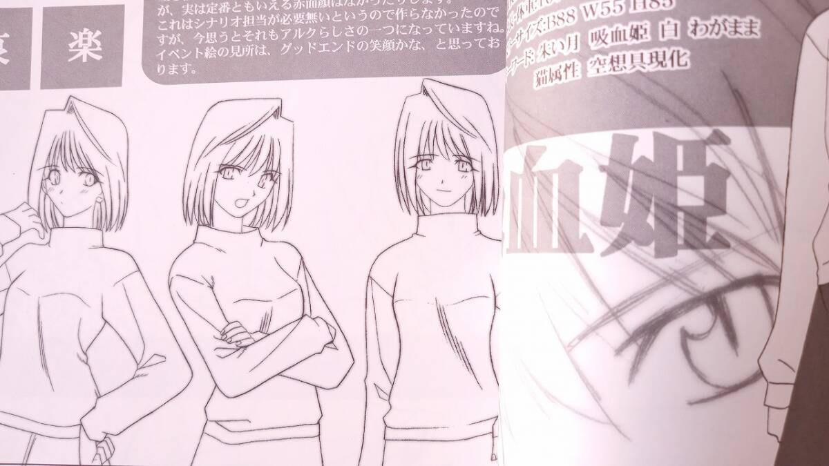 TYPE-MOON 月姫読本 初版 /武内崇/奈須きのこ/FGO/月姫/FATE TYPE-MOON 月姫読本 初版 /武内崇/奈須きのこ/FGO/月姫/FATE
