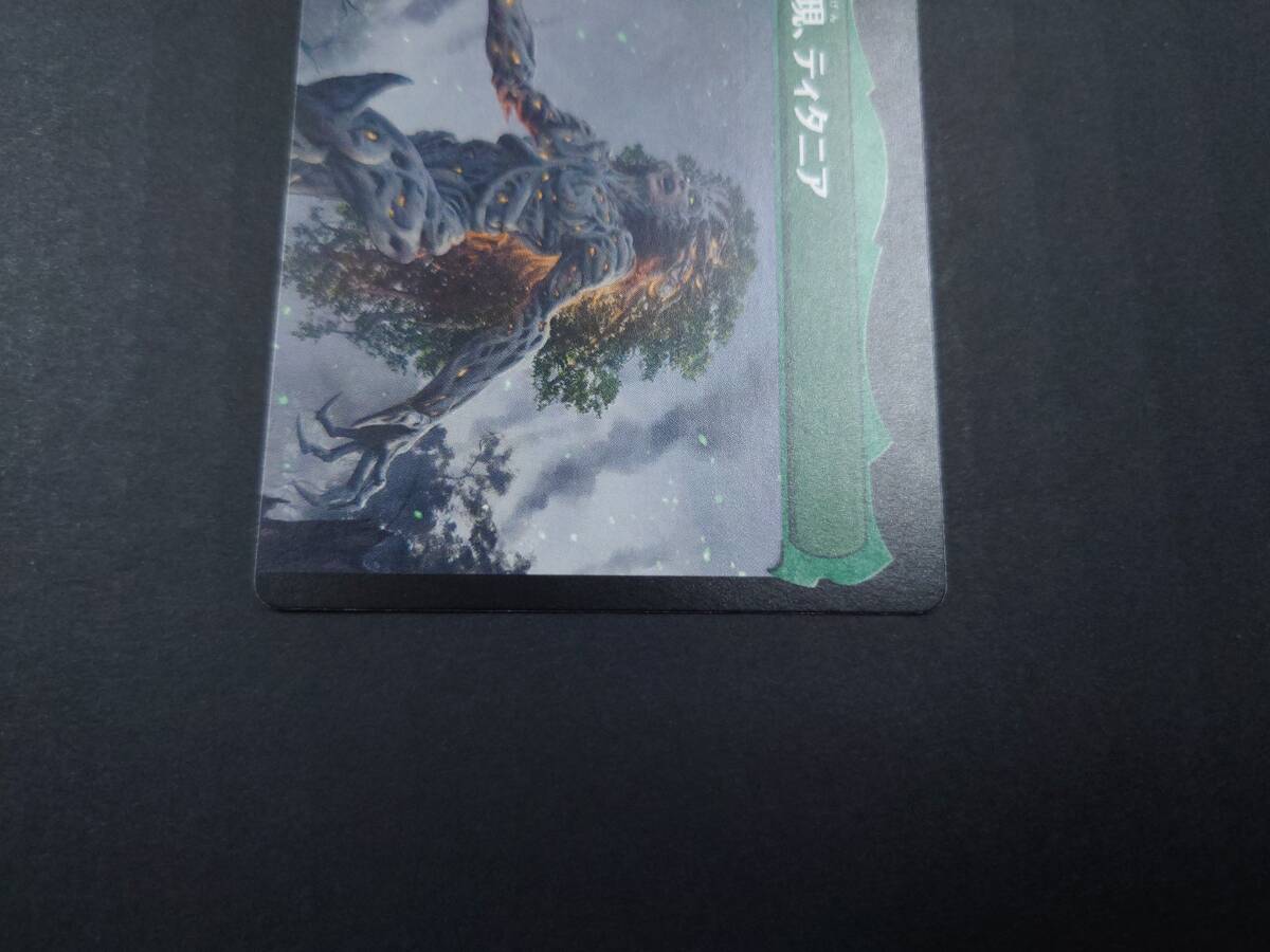 ca34) MTG ガイアの声、ティタニア/Titania, Voice of Gaea ガイアの具現、ティタニア/Titania, GAEA Incarnate 193/287 M BRO_画像6