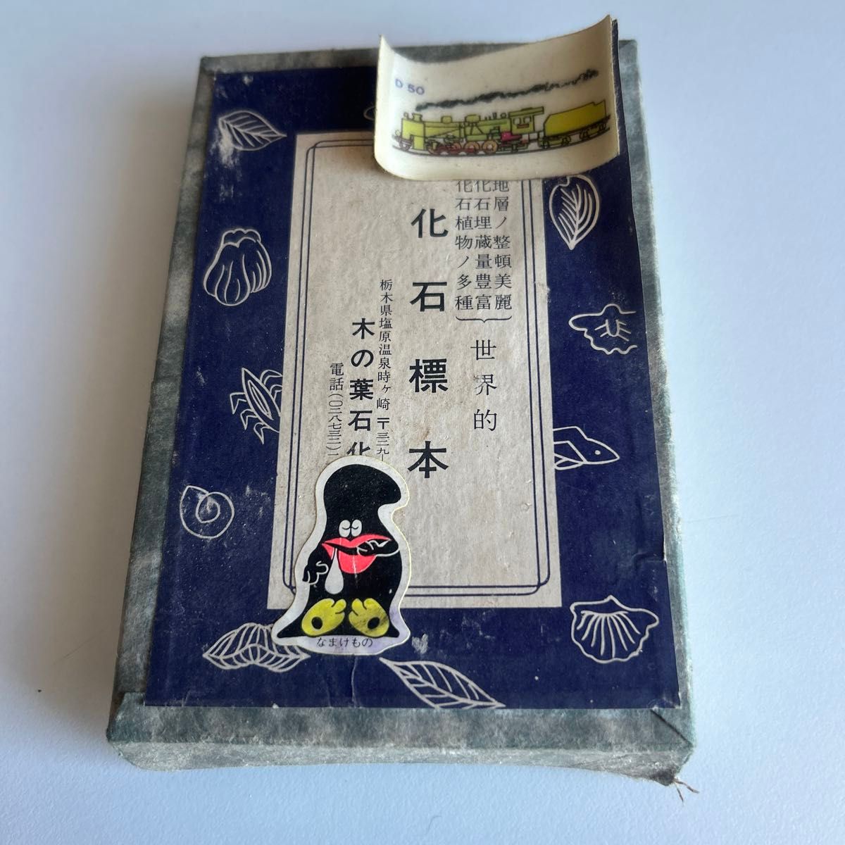 骨董品　塩原化石標本　1970年代