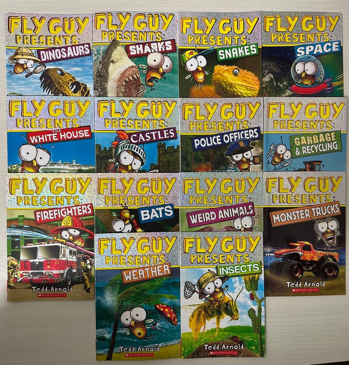 Fly Guy Presents　14冊　英語絵本　マイヤペン対応　多読　MaiyaPen対応　おうち英語　多読　