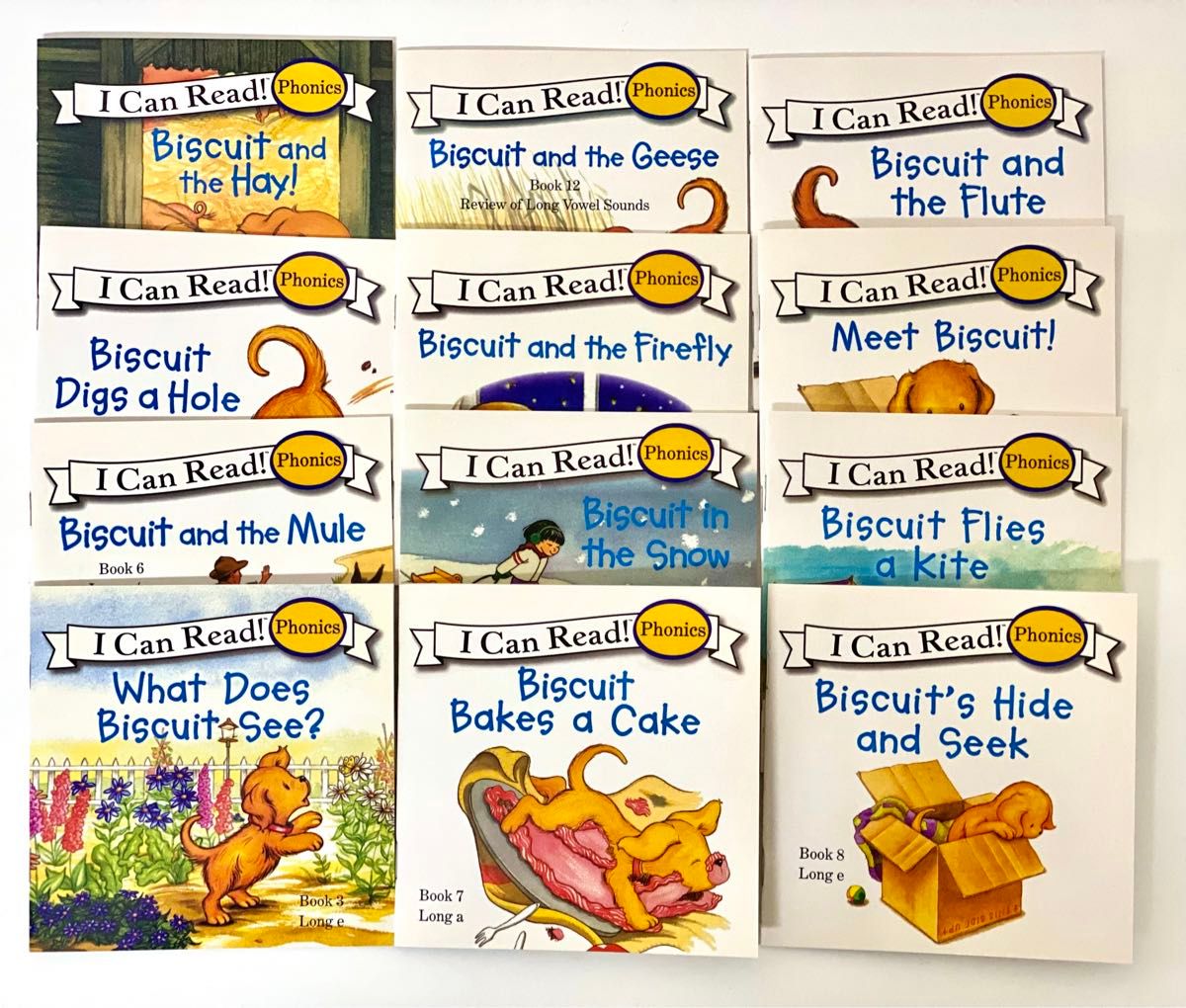 ビスケットフォニックス Biscuit Phonics 24冊　アイキャンリード シリーズ 英検　I can read  英語絵本