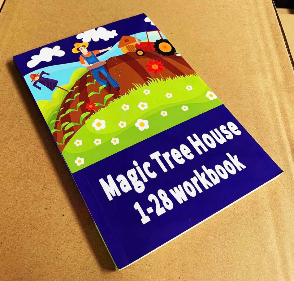 高品質版 マジックツリーハウス マイヤペン対応 magic tree house シリーズ1 音源付　 英語絵本 洋書　多読