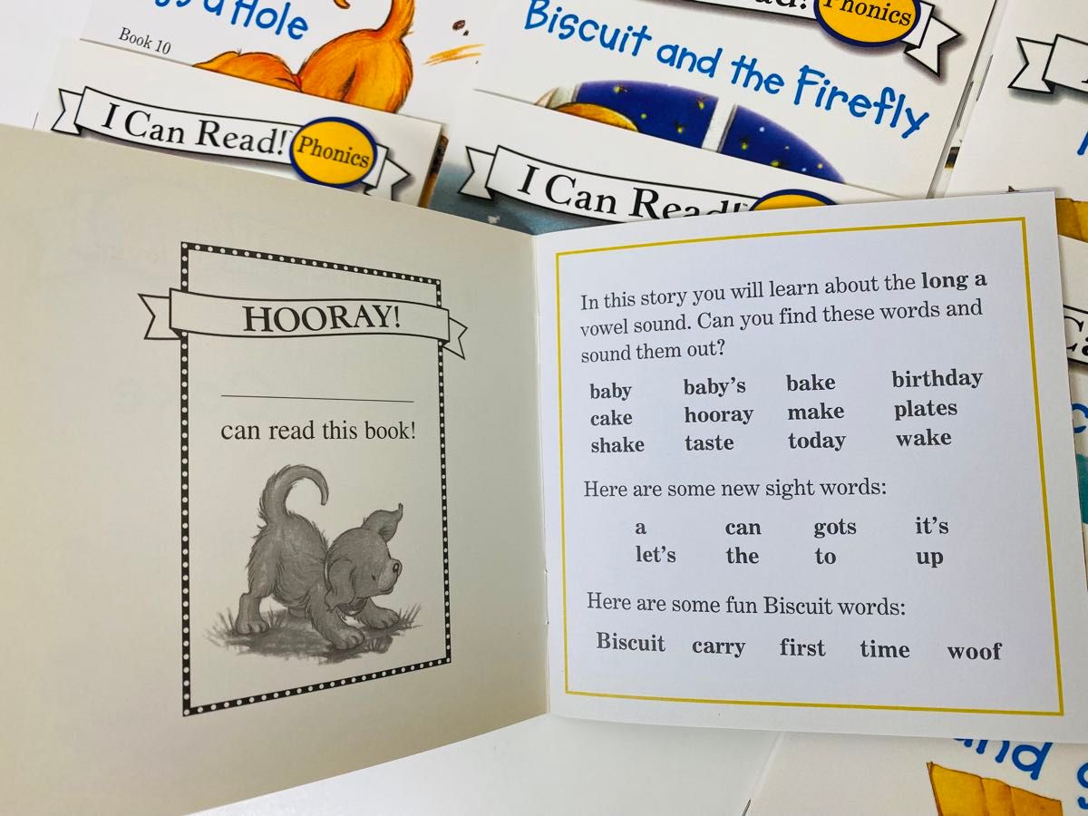 ビスケットフォニックス pete cat Phonics 24冊　多読　洋書　 英語絵本 オックスフォードリーディングツリー