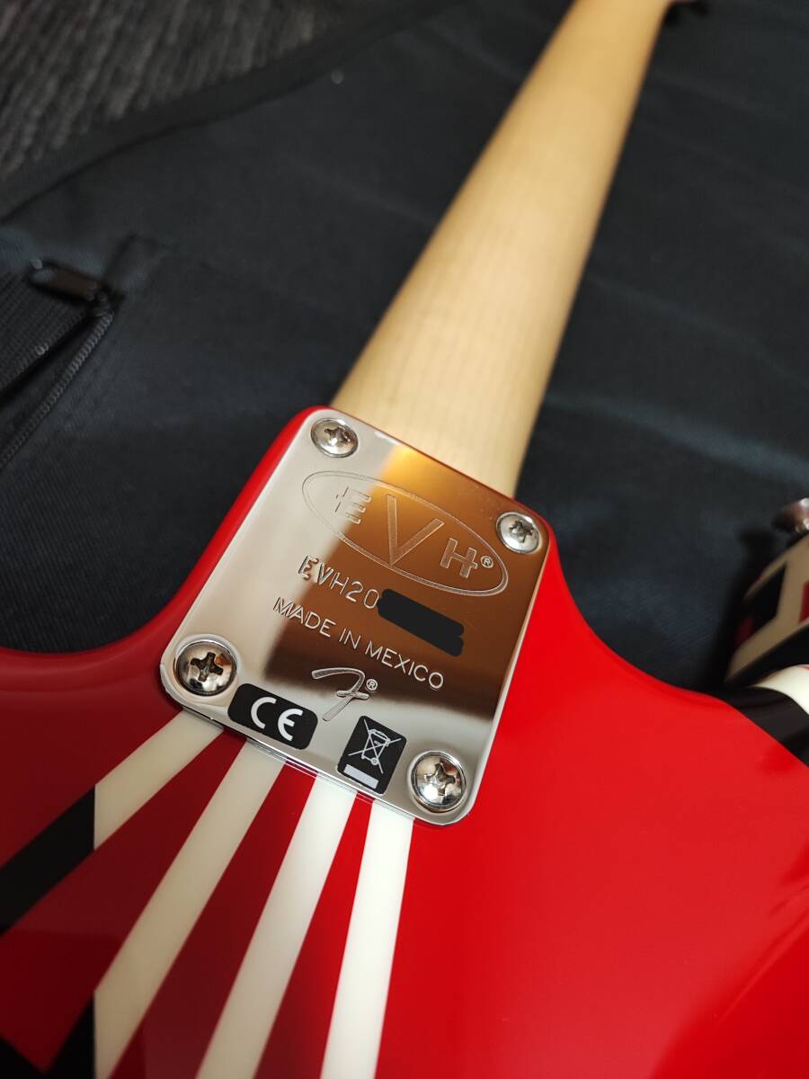 EVH Striped Series Red with Black Stripesの画像8