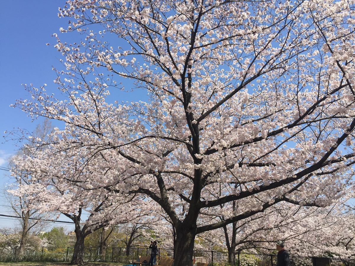 なおきち様専用の画像1