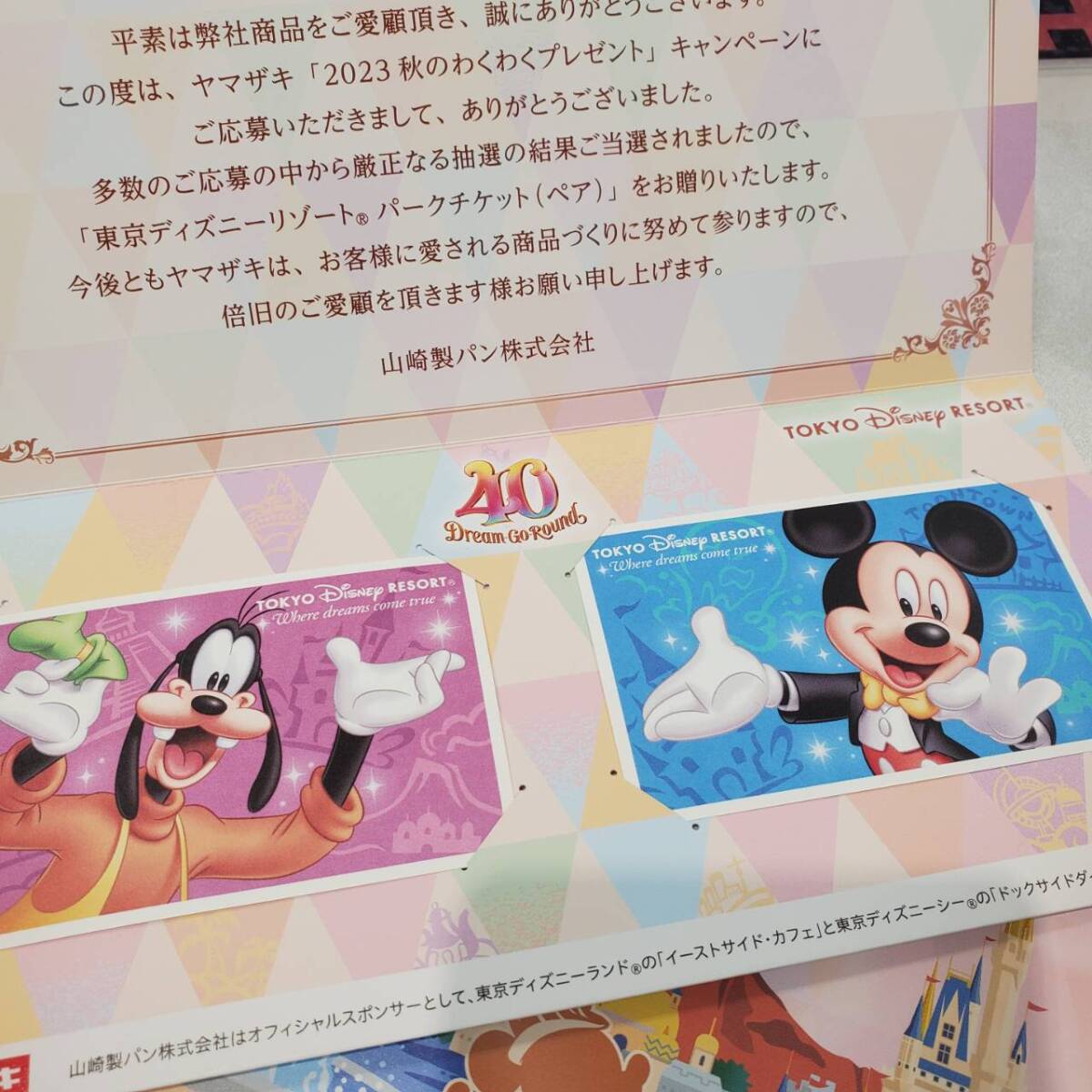 東京ディズニーリゾートスポンサーパスポート 2枚セット 有効期限2024/11/30 送料無料 即決!!_画像1