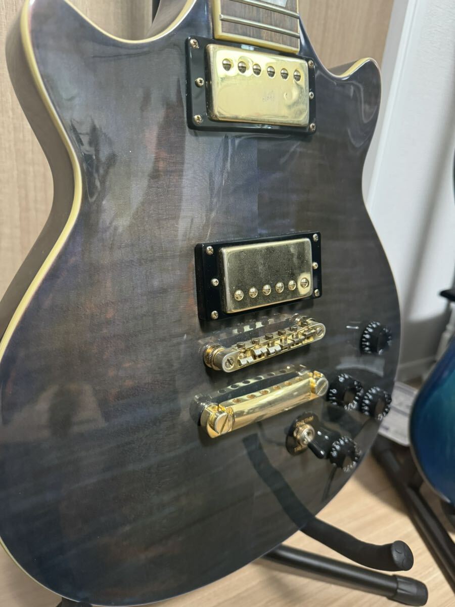 エピフォン Epiphone Genesis_画像2