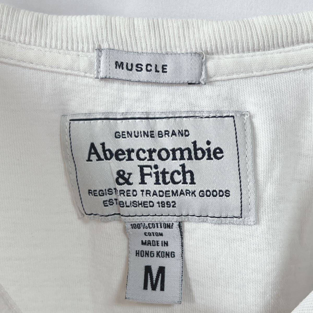 Abercrombie & Fitch アバクロ　半袖Tシャツ グッドデザインプリント　サイズM_画像4