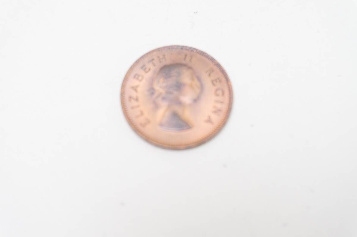 エリザベス女王 2世 SOUTH AFRICA 1957 コイン 硬貨 アフリカの画像1