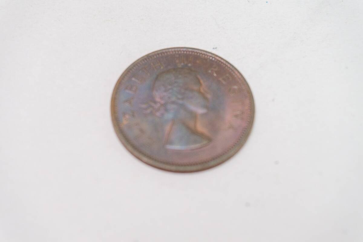 エリザベス女王 2世 SOUTH AFRICA 1956 コイン 硬貨 アフリカの画像1