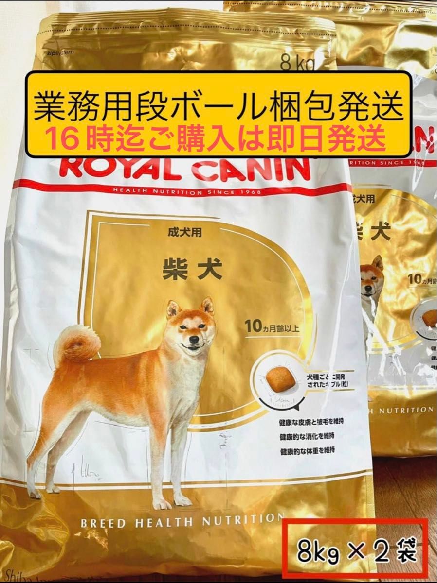 ロイヤルカナン柴犬成犬用8kg×2袋