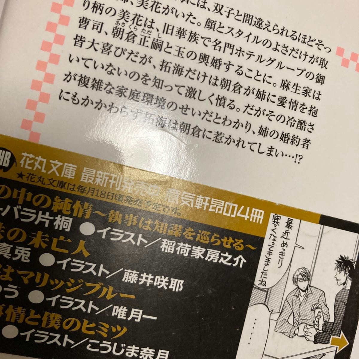 花嫁はマリッジブルー　花嫁は今夜もブルー　初恋姫　もったいない　凪良ゆう　白泉社花丸文庫　角川ルビー文庫