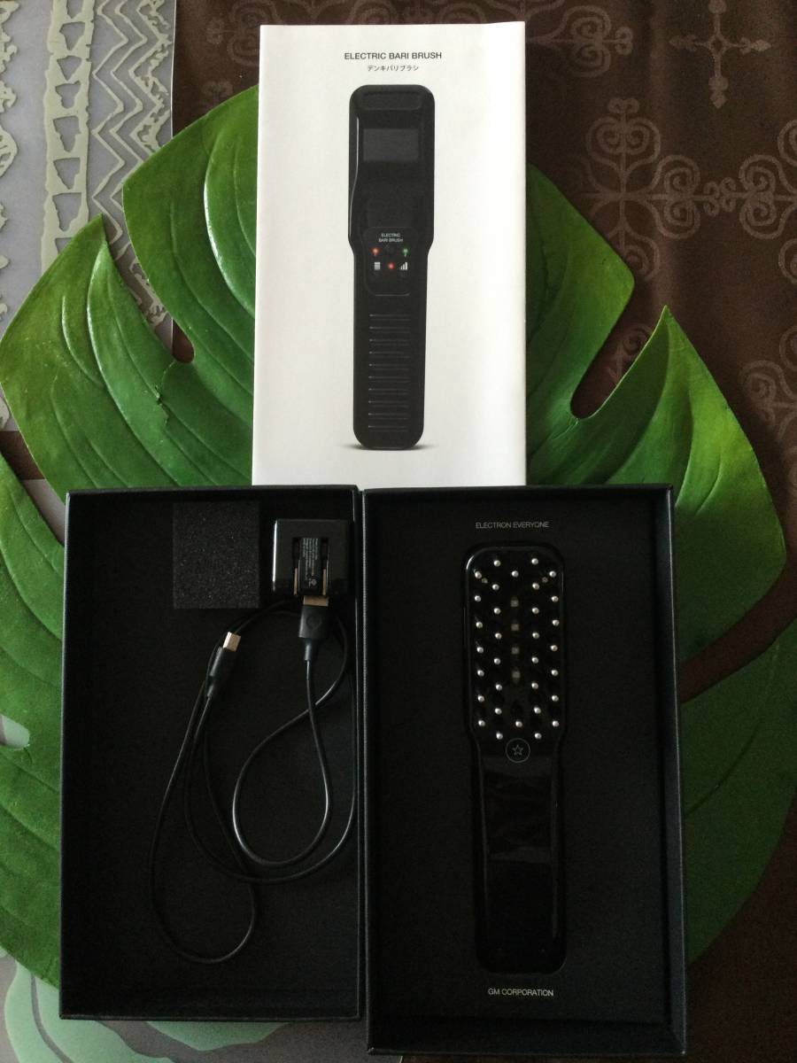 正規品 ジーエムコーポレーション 電気バリブラシ GM CORPORATION エレクトロン EVERYONE ELECTRIC BARI BRUSH