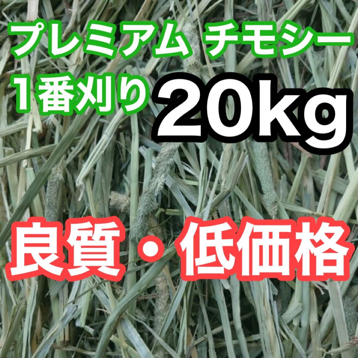 アメリカ産 プレミアム チモシー 1番刈り　20kg  うさぎ デグー チンチラ モルモット 小動物 牧草