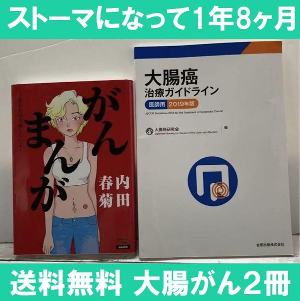 送料無料 2冊 がんまんが 内田春菊 大腸癌治療ガイドライン 医師用 2019_画像1