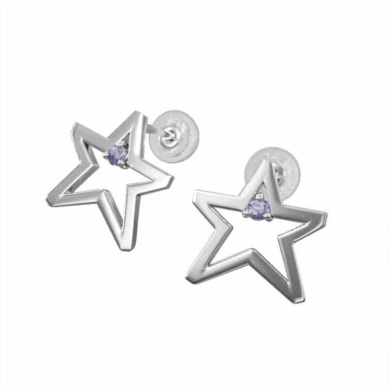 激安特価 14280円 ペアピアス 1粒石 スター ジュエリー タンザナイト 12月 タンザナイト