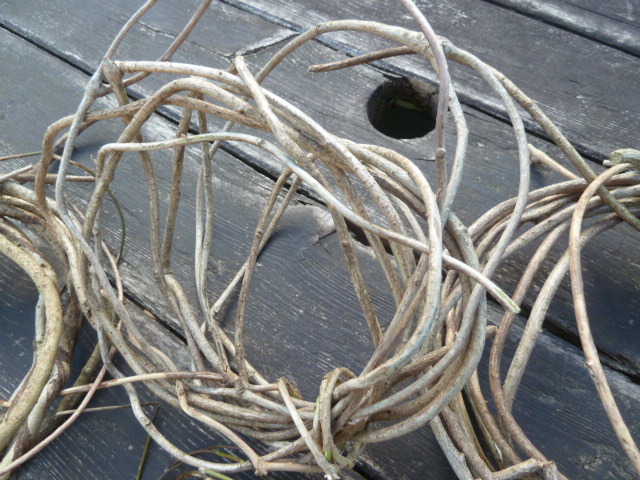 ◎リース台作り♪籠編みも 蔓 ツル 中～細くらい ヤマカズラ 3/17採取の画像3