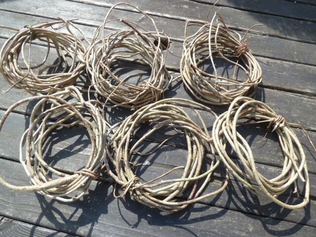 ◎リース台作り♪籠編みに 蔓 ツル 中くらい ヤマカズラ 6束 長い 3/31採取の画像1