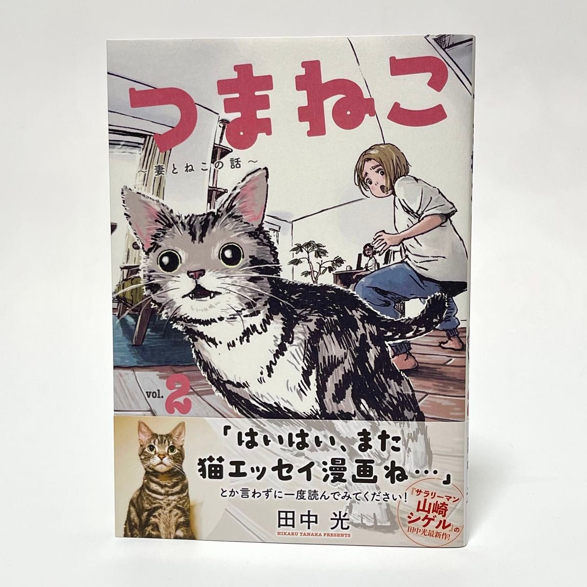 つまねこ〜妻とねこの話〜 vol.1〜4 全巻セット / 田中 光（KCDX）講談社