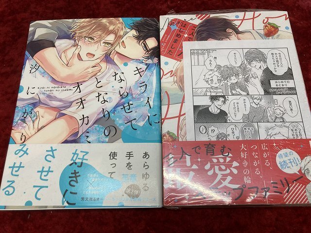 03-29-108 ■BE 送料無料 漫画 コミック ボーイズラブ BL 2冊セット まとめ売り 中古品 キライにならせてとなりのオオカミなど 汐にがり_画像1