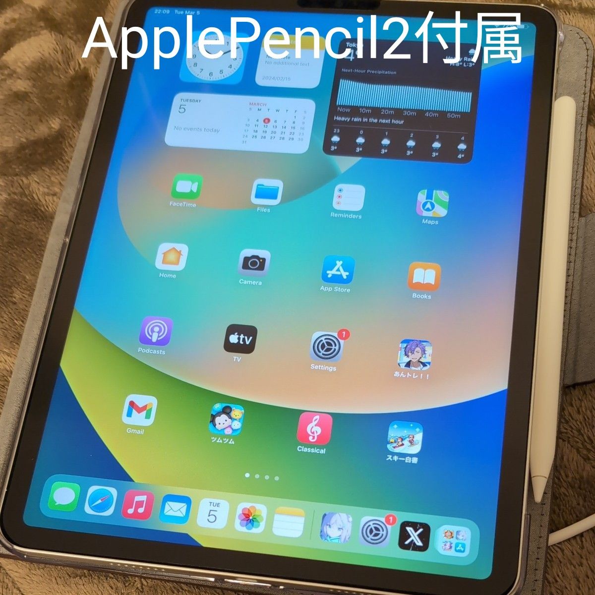 iPad Pro第4世代Wi-Fiモデル(256GB)とアップルペンシル iPad Pro第4世代Wi-Fiモデル(256GB)とアップルペンシル