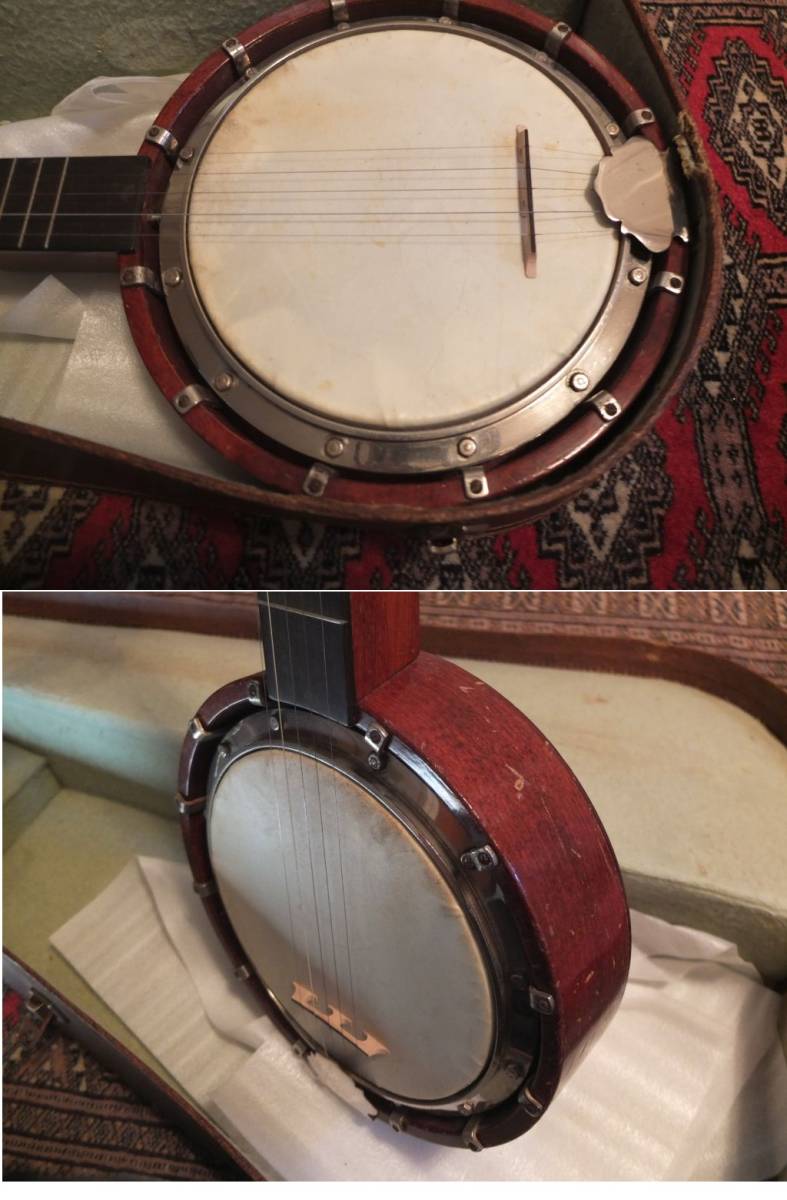 チターバンジョー(Zither Banjo)の画像3