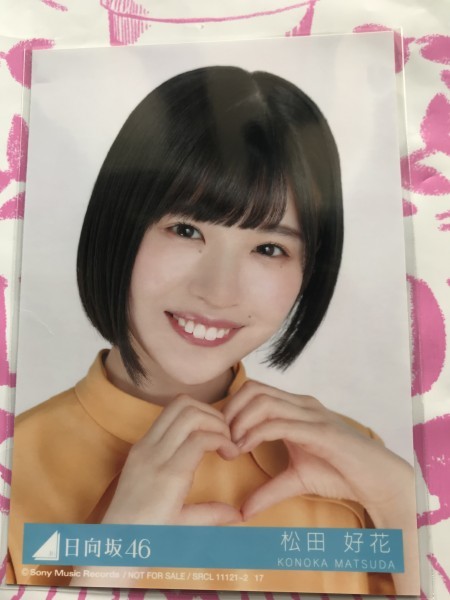 сосна рисовое поле . цветок life photograph Qun первое издание . входить привилегия город Хюга склон 46 лечение с футляром сосна рисовое поле . цветок life photograph Qun первое издание . входить привилегия город Хюга склон 46 лечение с футляром