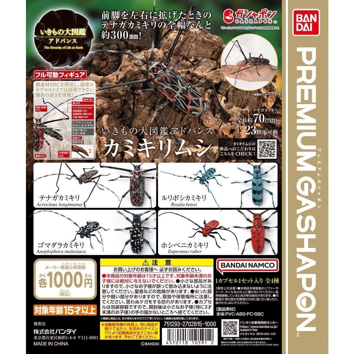 いきもの大図鑑 アドバンス カミキリムシ ホシベニカミキリ 昆虫 動物 生物 フィギュア バンダイ BANDAI 新品未開封_サンプル台紙