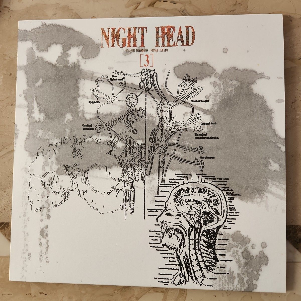 NIGHT HEAD LD BOXセット ナイトヘッド