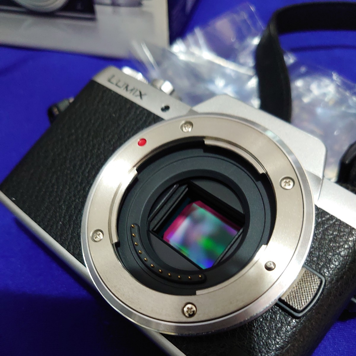 LUMIX GF7 DMC-GF7W-S Panasonic （シルバー） ミラーレス一眼カメラ_画像6