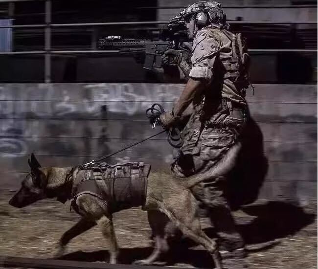 犬ハーネス首輪リード3点セット ミリタリー犬ハーネス 軍犬ハーネス K9大型犬ハーネス 中型犬ハーネス 大型犬首輪 中型犬首輪 Lサイズ 迷彩