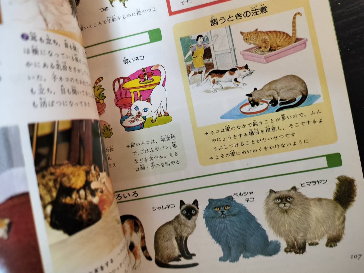 ★本★　生きものの飼い方 旺文社学習図鑑　携帯版_画像4