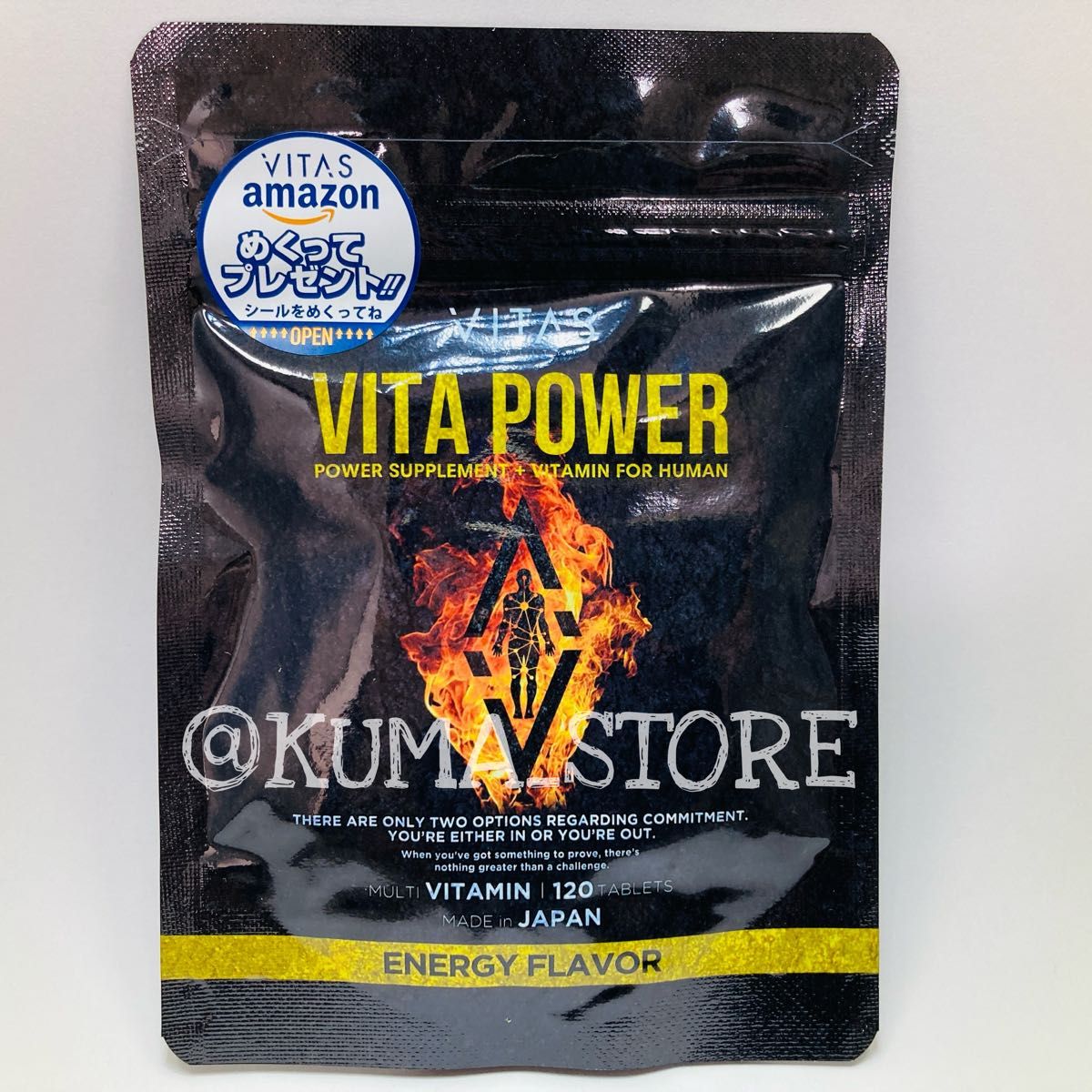 2袋 VITAS バイタス VITA POWER ビタパワー マカ 亜鉛 マルチビタミン 120粒 サプリメント