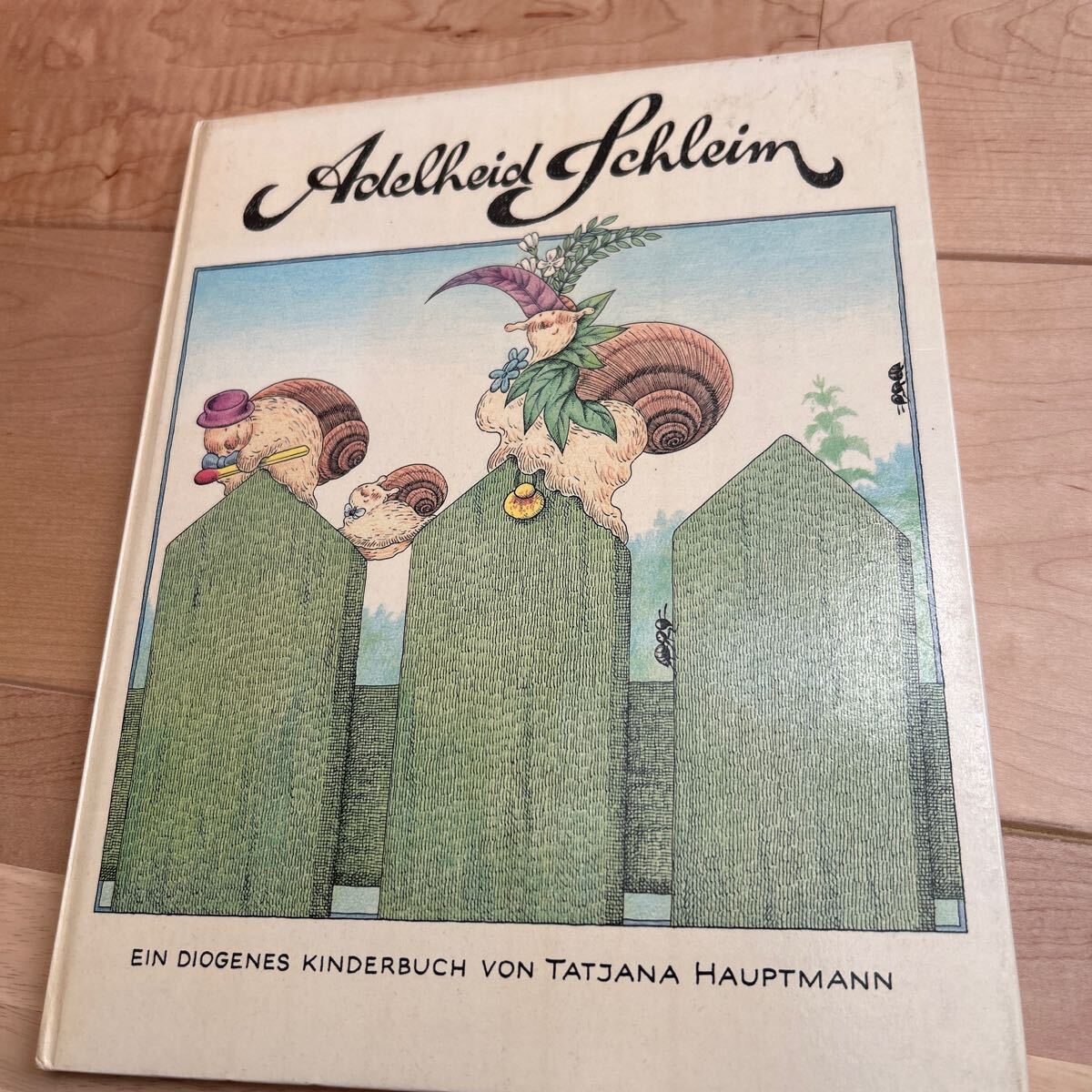 洋書 エッシャー 絵本ドイツ　aclelheid fchleim tatjana hauptmann adelheid schleim_画像1