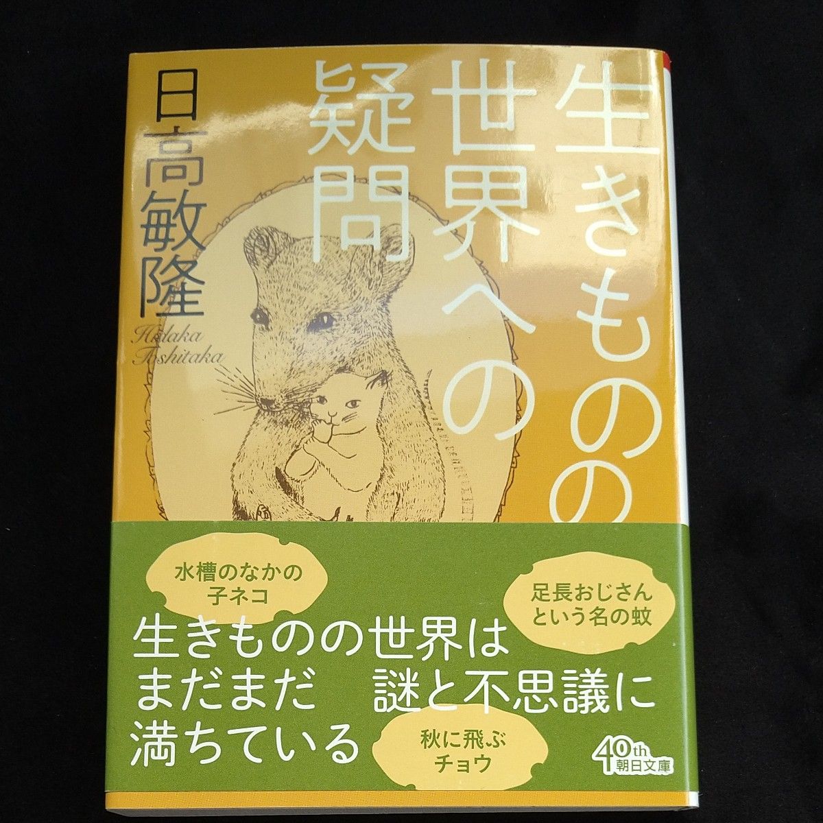 生きものの世界への疑問 （朝日文庫　ひ４－４） 日高敏隆／著