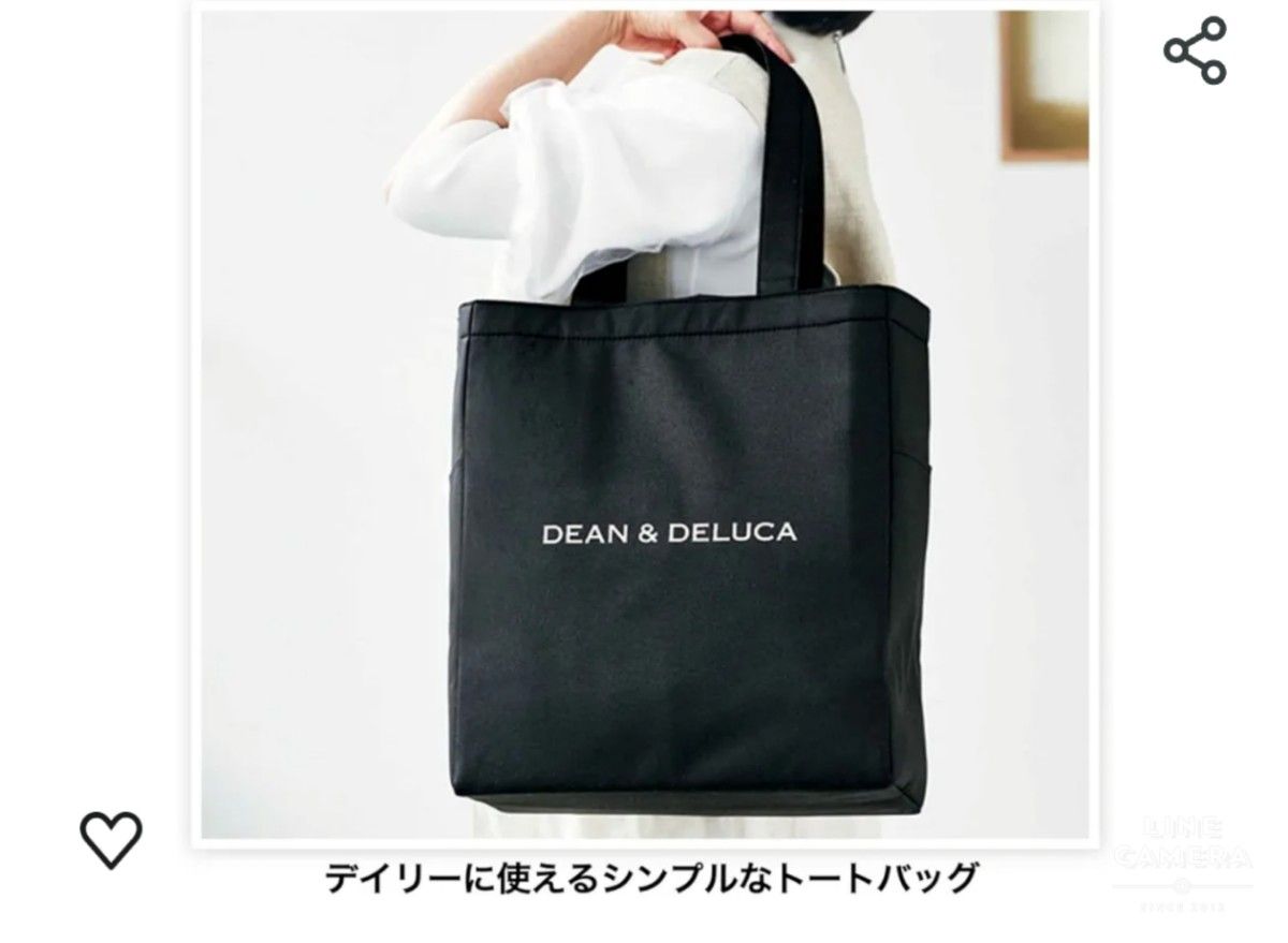 特別付録DEAN ＆ DELUCA 保冷＊機能付き デイリーBIGトート