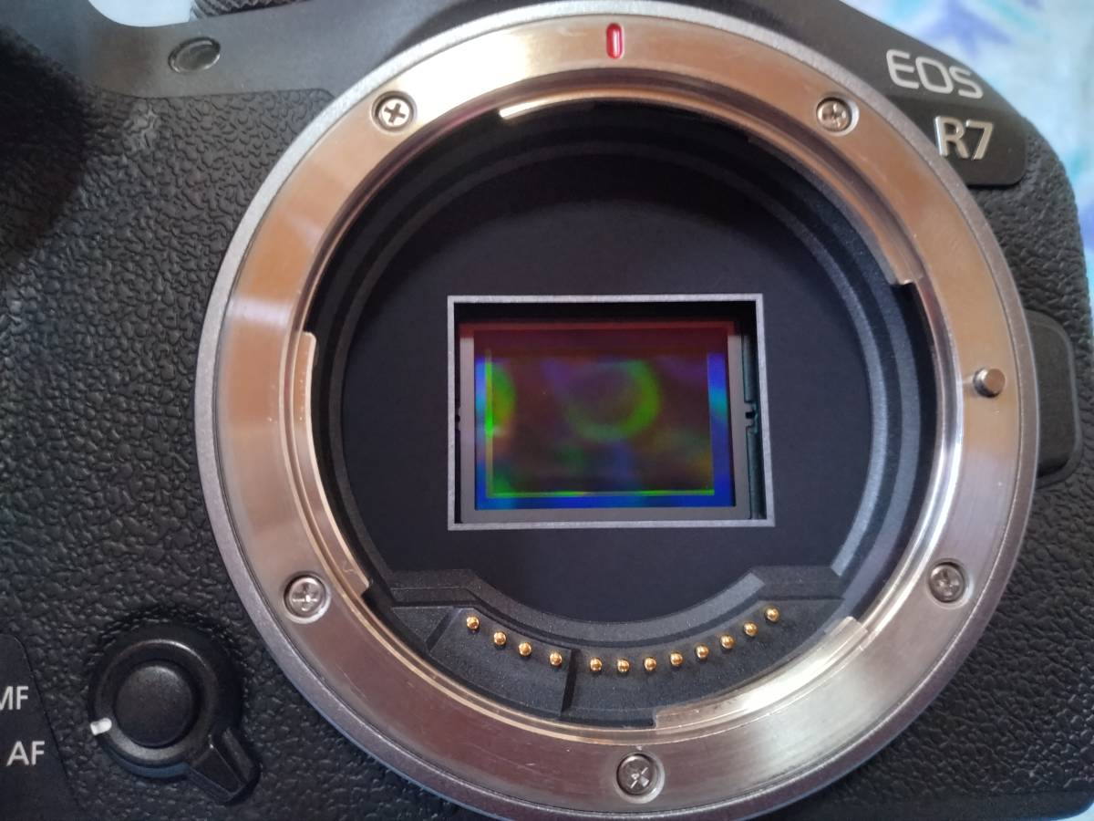 EOS R7 ボディ　Canon　EOSR7 キヤノン_画像6